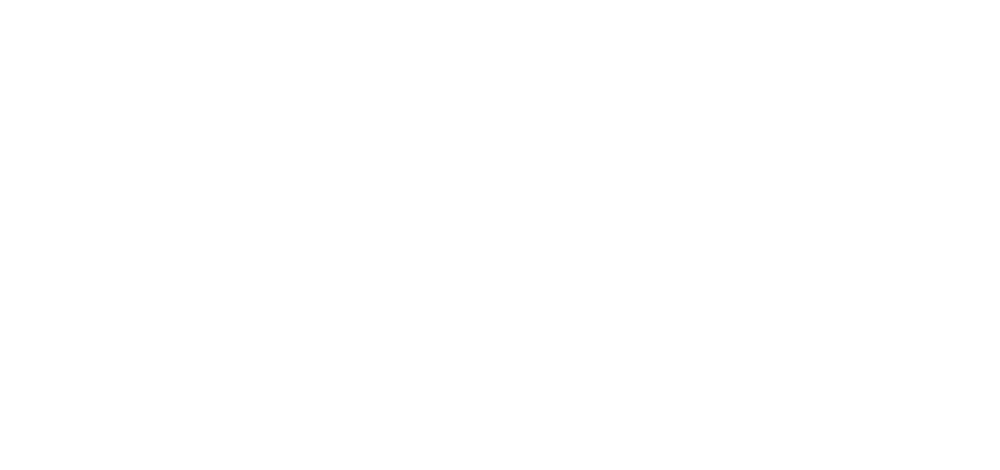 Logo Simon Wegi